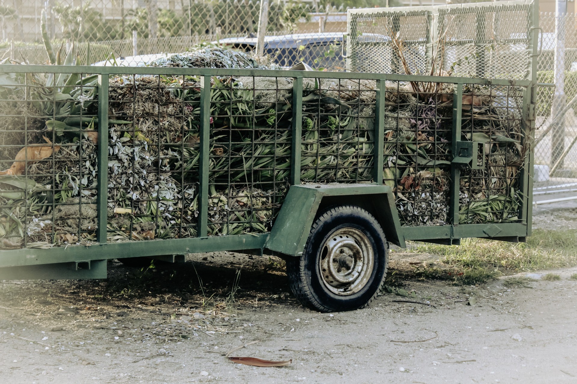 a green metal trailer filled with compostable yard waste, including leaves, branches, and other plant debris. landscaping clean up and haul away